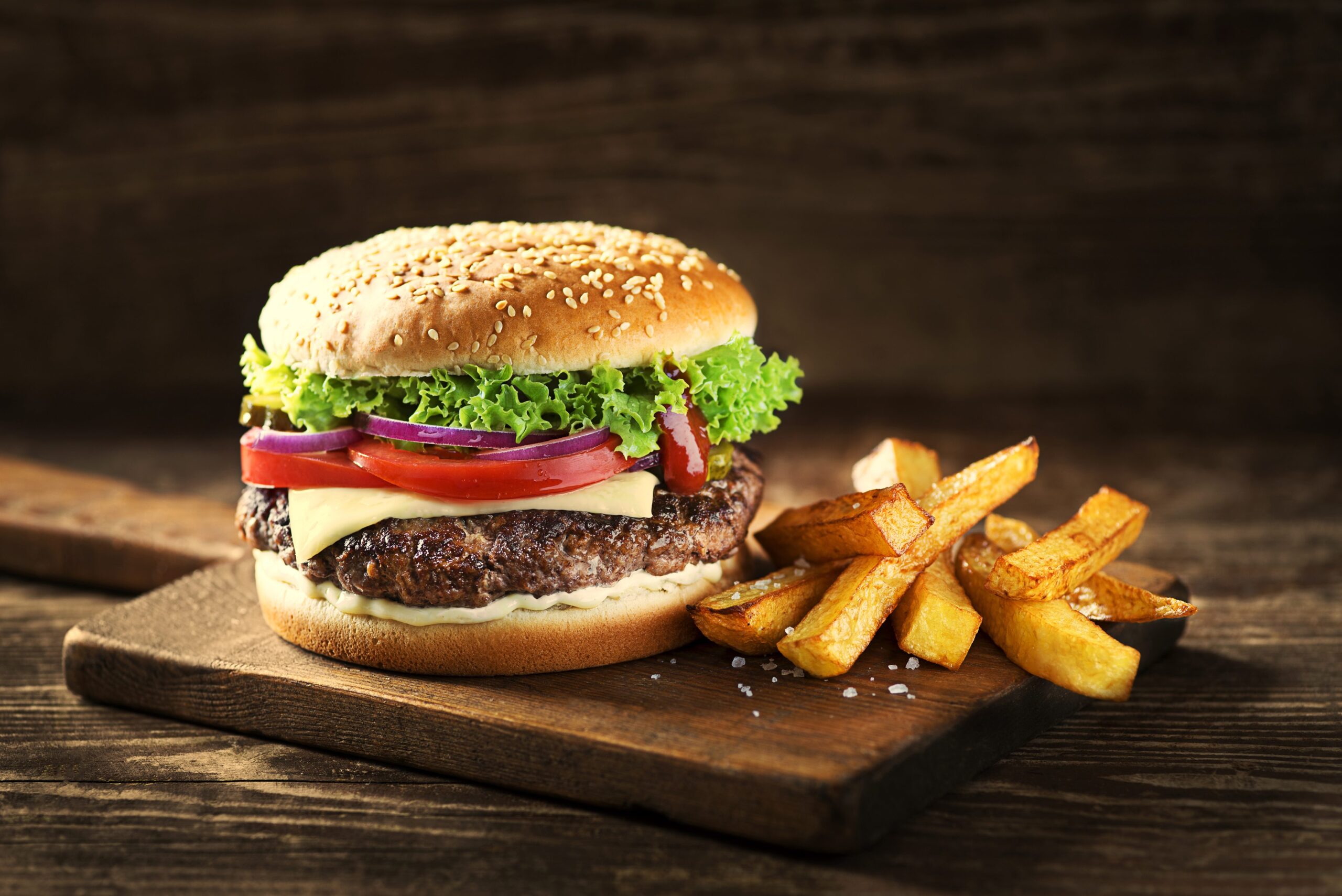 Dana Hamburger Köfte - Görsel 5