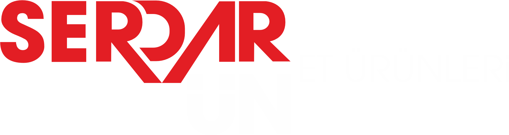 logo-beyaz